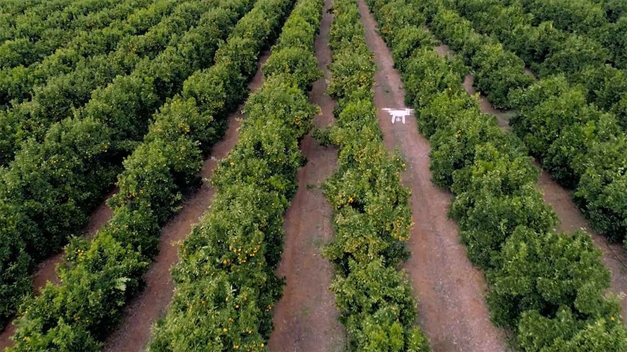 南非公司利用人工智能帮助农民提高作物产量-葫芦娃AI-一起学AI葫芦娃AI